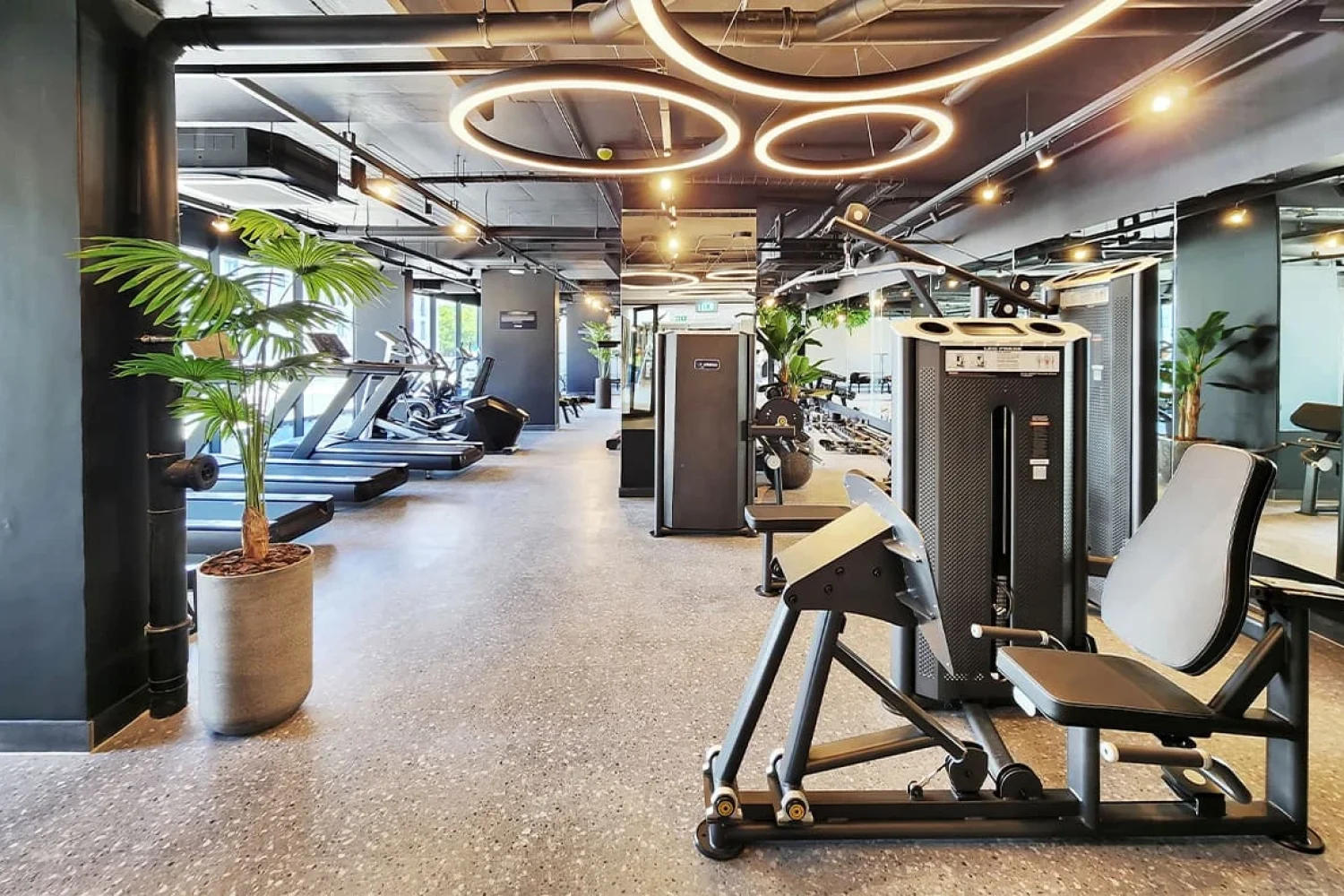 Gym-The-One